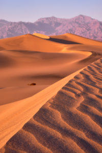 USA, United States of America, Nevada, Death Valley National Park, Mesquite Sand Dunes, Sierra Nevada, California USA, United States of America, Nevada, Death Valley National Park, Mesquite Sand Dunes, Sierra Nevada, California